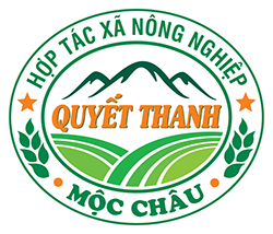 Quyết Thanh